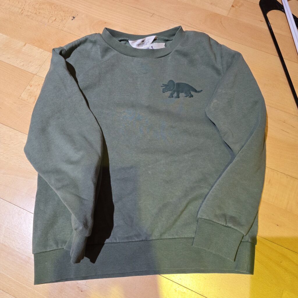 701-Green-Dinosaur-Pullover-Sweatshirt-Main