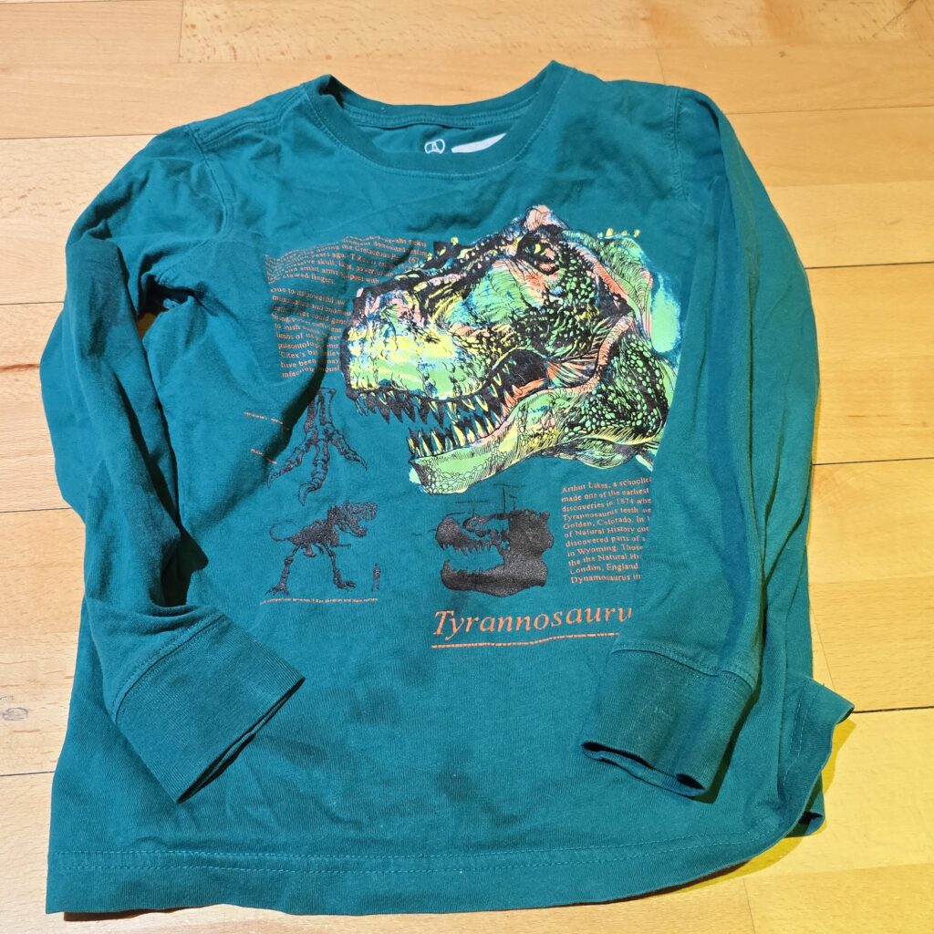 799-Long-Sleeve-T-Rex-Shirt-Main